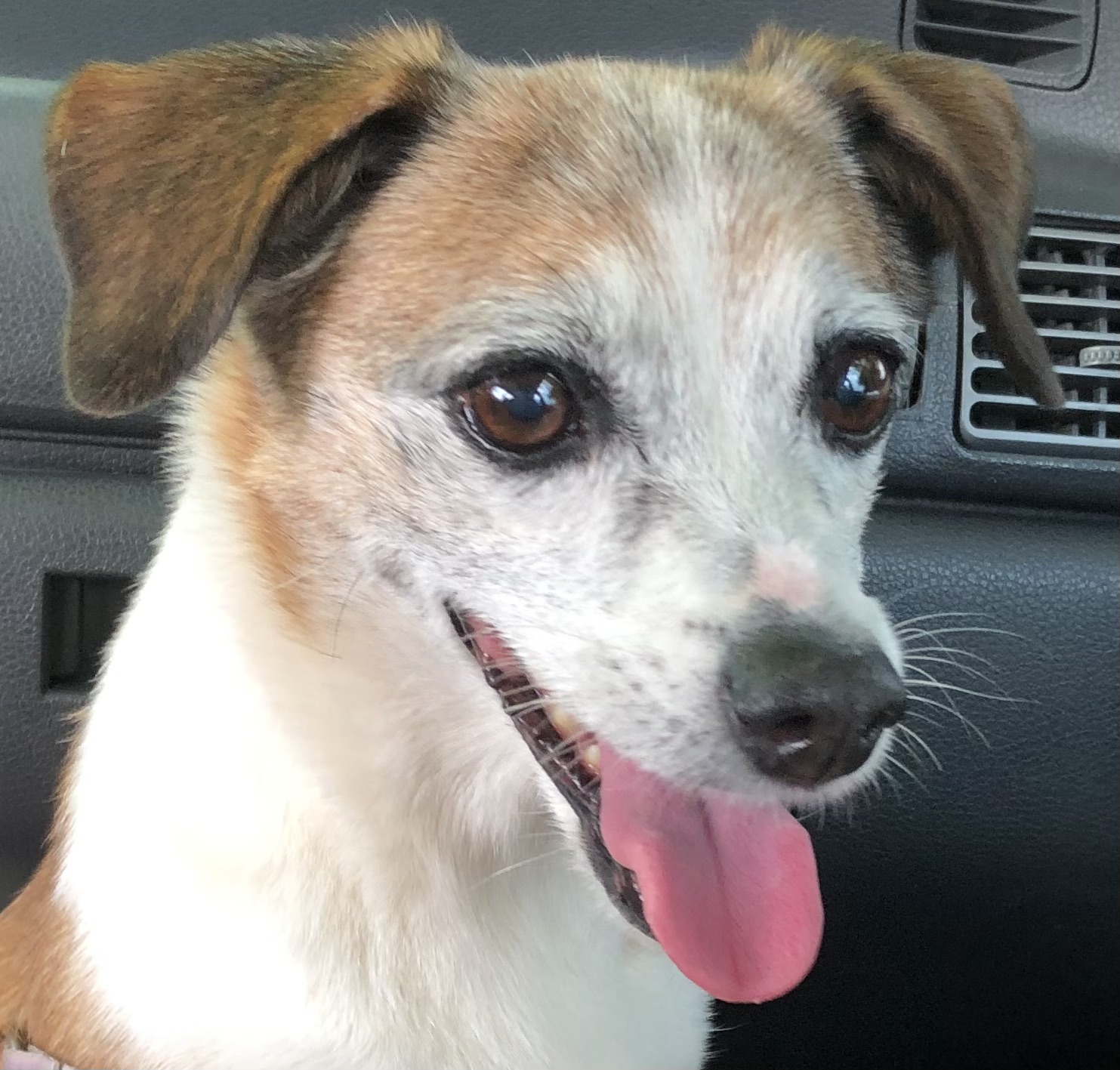 ANA LUIZA LARA DIAS ALVES 